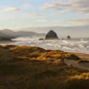 Meet your Posher, Rebekah